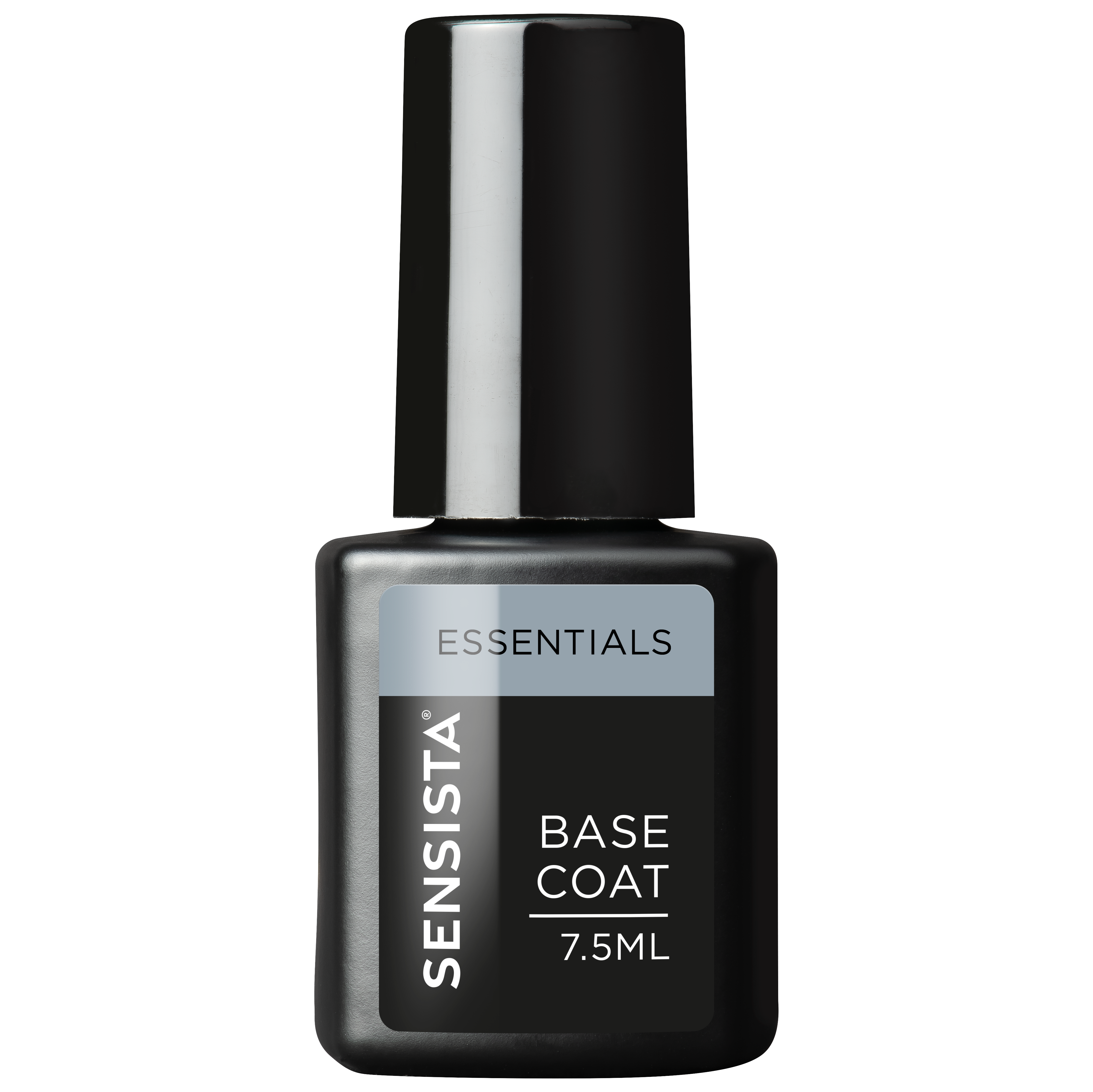 Base Coat