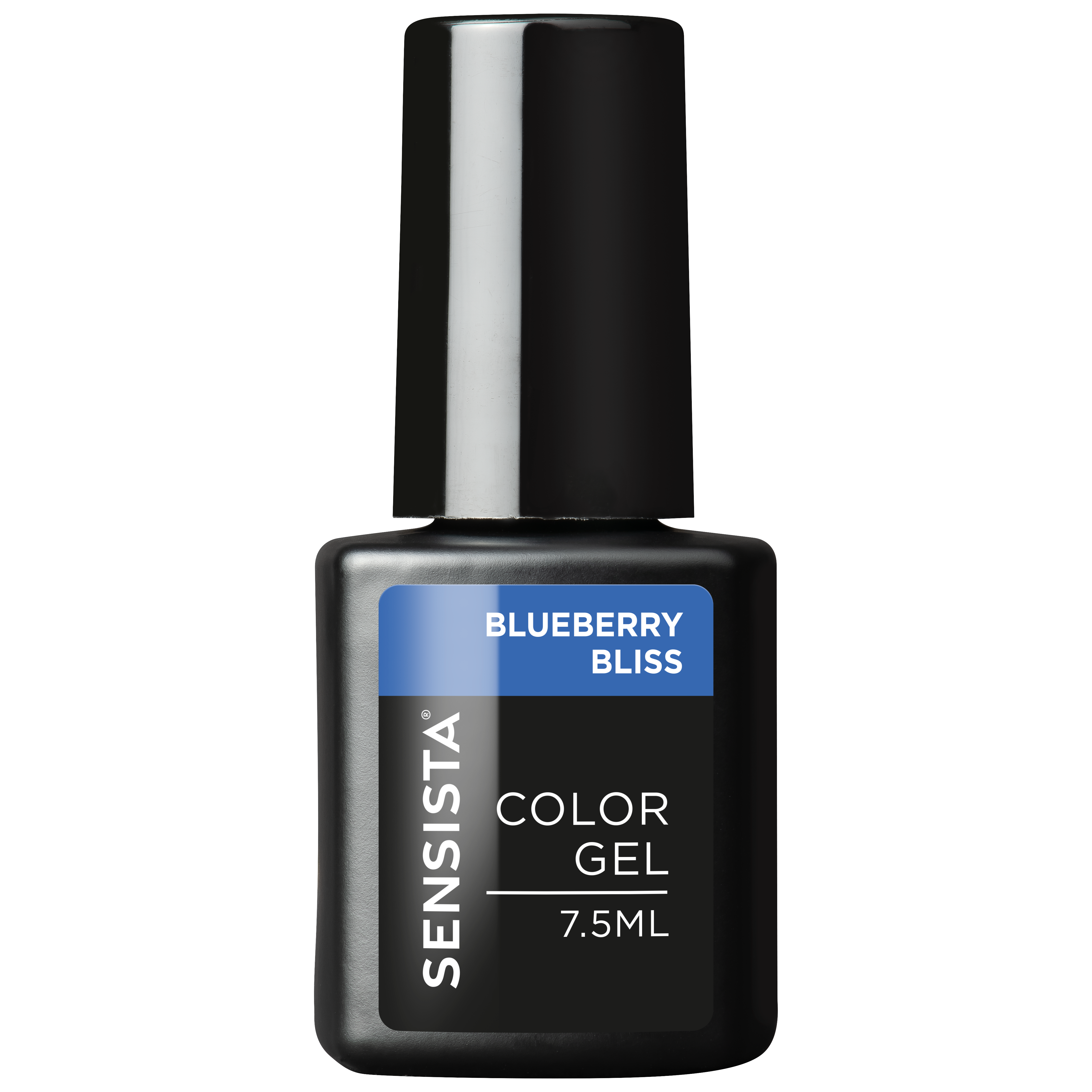 Blueberry Bliss